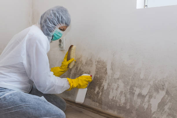 Best Crawl Space Mold Removal  in Encantada Ranchito El Calaboz, TX