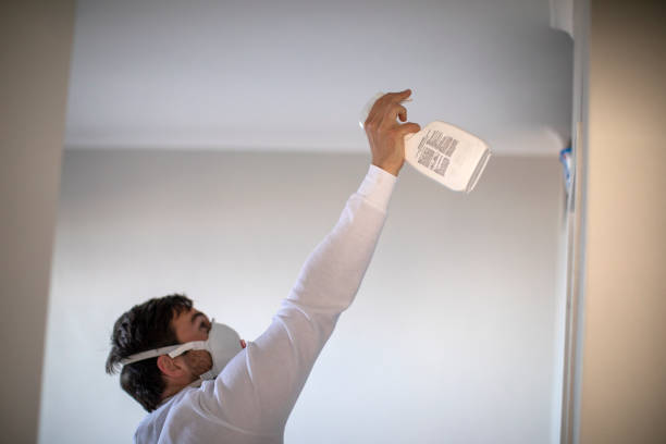 Best Mold Cleaning Services  in Encantada Ranchito El Calaboz, TX